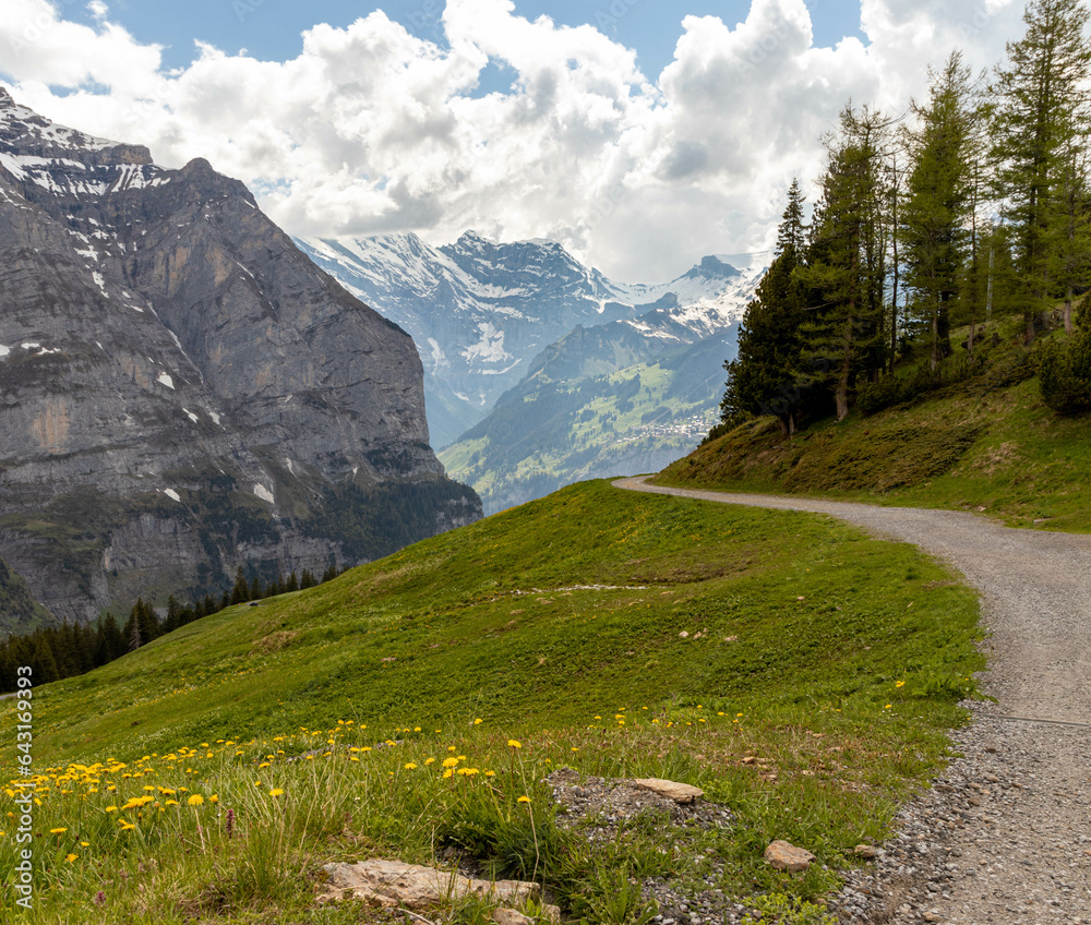 Path Leading Up the Swiss Alps in the Summer with Flowers in the Foreground and Mountains in the Background in Switzerland