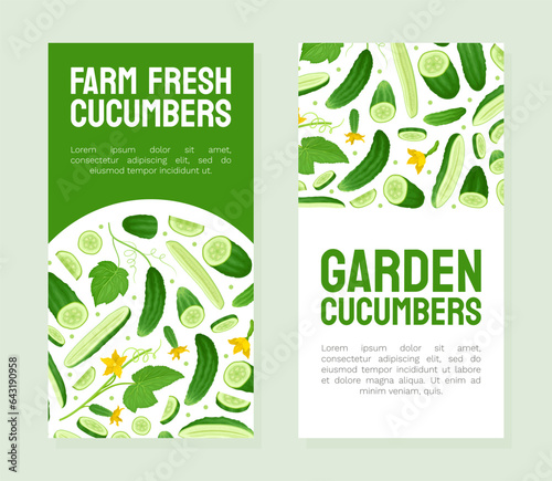 Fresh Green Cucumber Vegetable Banner Design Vector Template