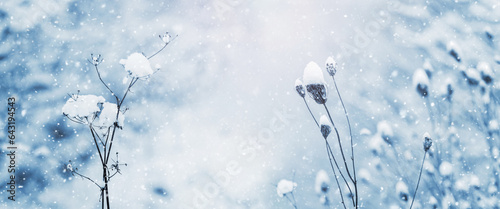 Winter background with dry plants covered with snow on blurred background during snowfall, copy space