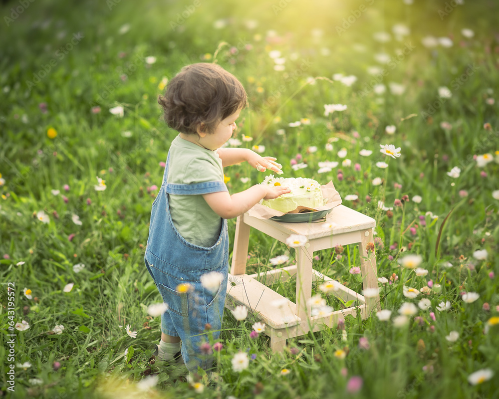 Cute baby boy wearing a jeans with cake on the chair celebrating 2 years birthday on a daisy summer field. Cute baby boy wearing a jeans with cake on the chair celebrating 2 years birthday on a daisy summer field.