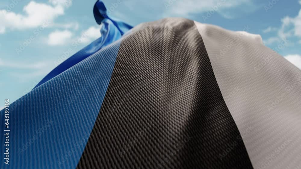 Wavy flag of Estonia blowing in the wind in slow motion. Waving ...