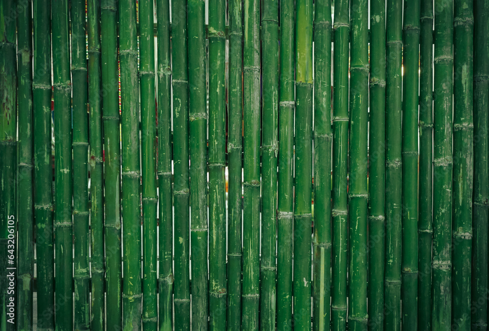 Fototapeta premium Empty green bamboo natural wall panel, abstract wood background and texture. patterns, quoit, old, ancient, rotted, obsolete weathered cracked, space for work, vintage wallpaper, close up