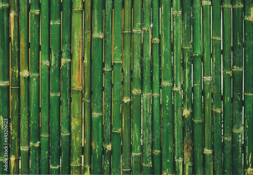 Empty green bamboo natural wall panel, abstract  wood background and texture. patterns, quoit, old, ancient, rotted, obsolete weathered cracked, space for work, vintage wallpaper, close up © surasak