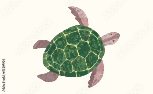 Turtle, Animal wildlife watercolor vector illustration.