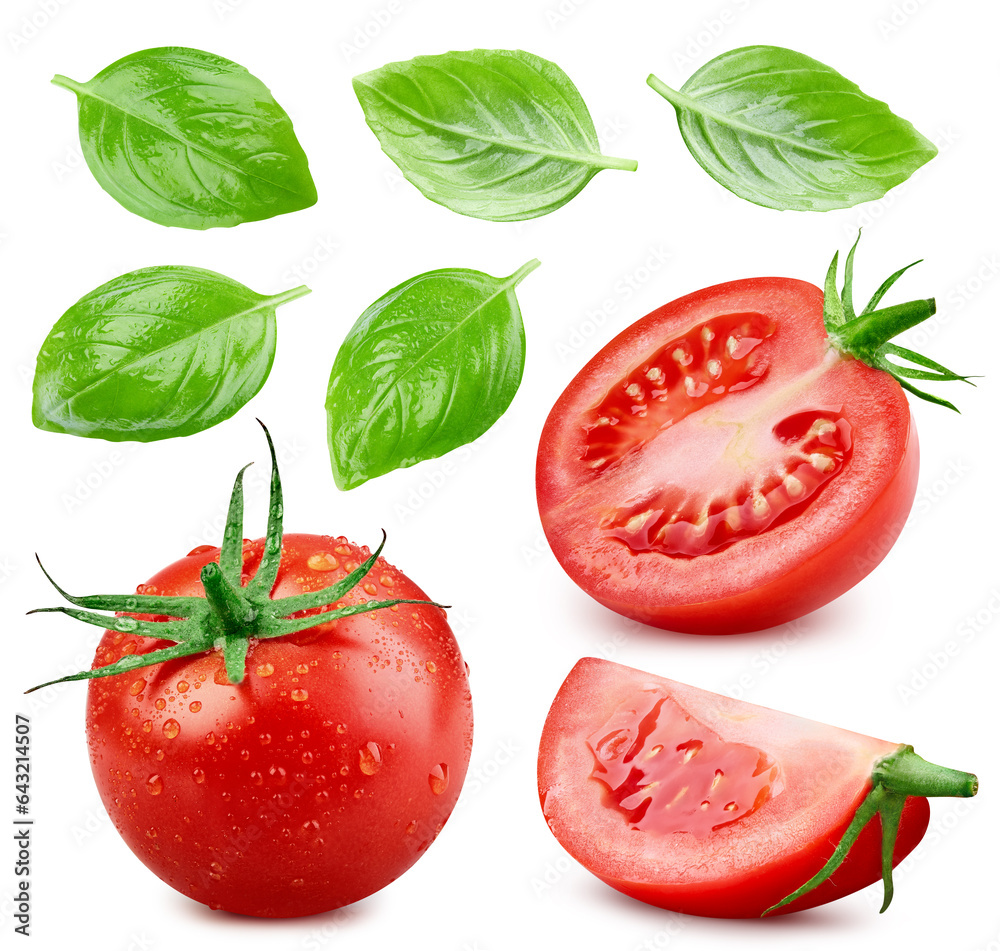 Naklejka premium Tomato isolated with basil leaves. Tomatoes with drops on white background. Set of wet tomato. With clipping path.