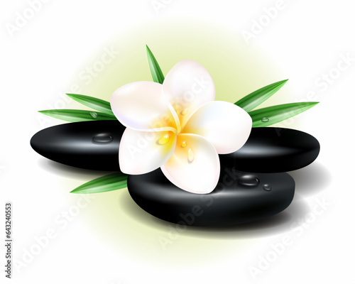 Vector illustration of tropical spa and resort. Some black hot stones for massage and exotic plumeria flower with  green leaves.