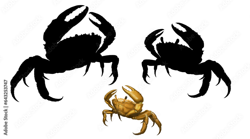 Giant crab monster set. Сrab big red attacks aggressively by lifting its claws upward. King Crab running along the beach realism illustration isolate. 