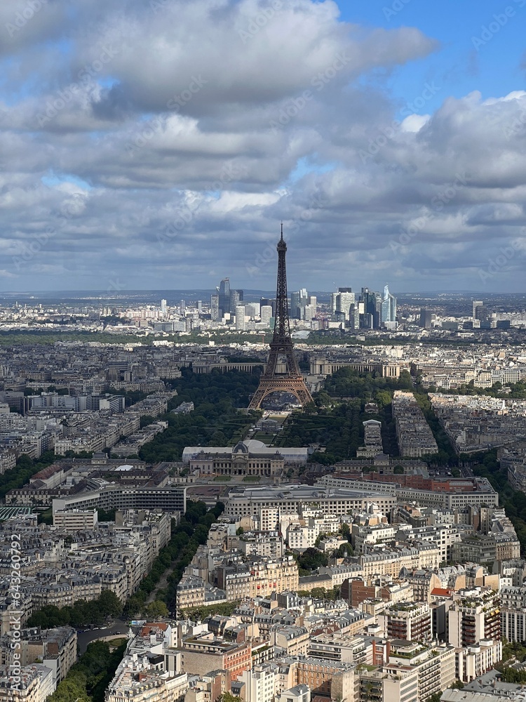 Aerial view of the city of Paris