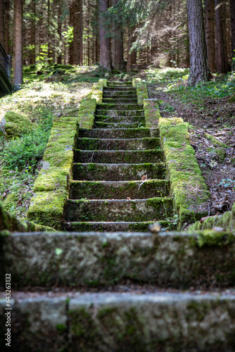Old stone stairs in the middle of the forest, covered by green moos