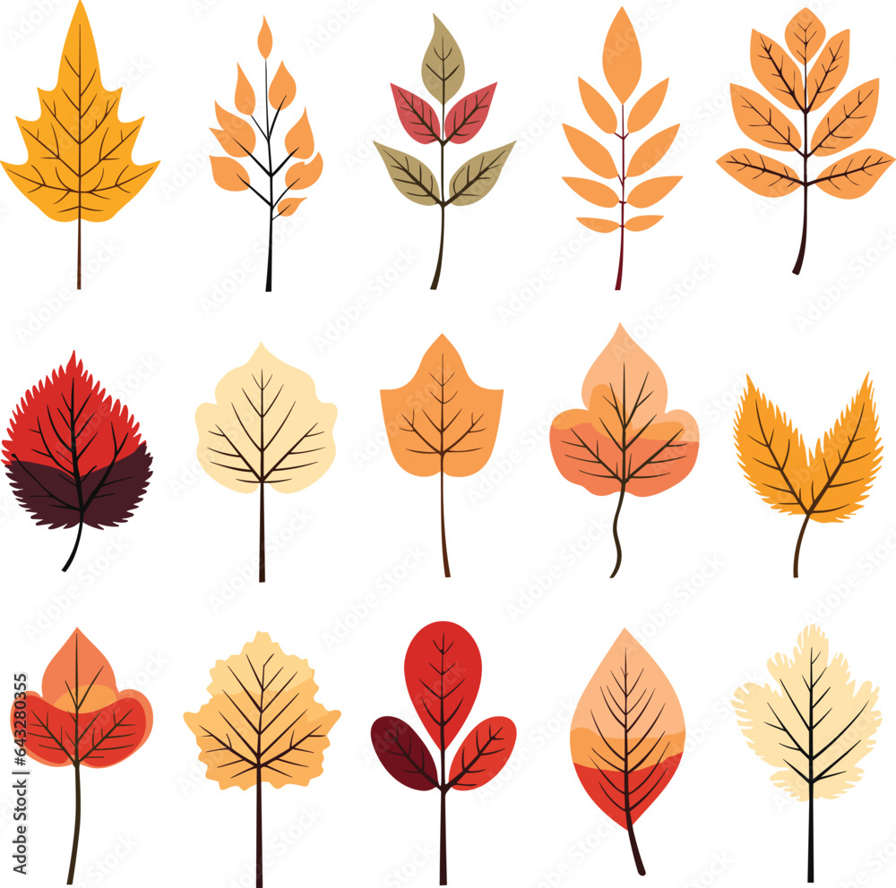 Fototapeta premium Autumn leaves vector collection