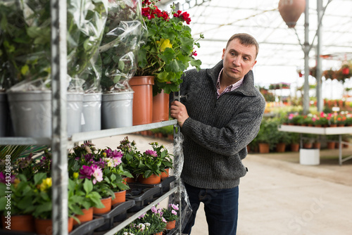 Portrait of man chooses flowers in flower shop. High quality photo