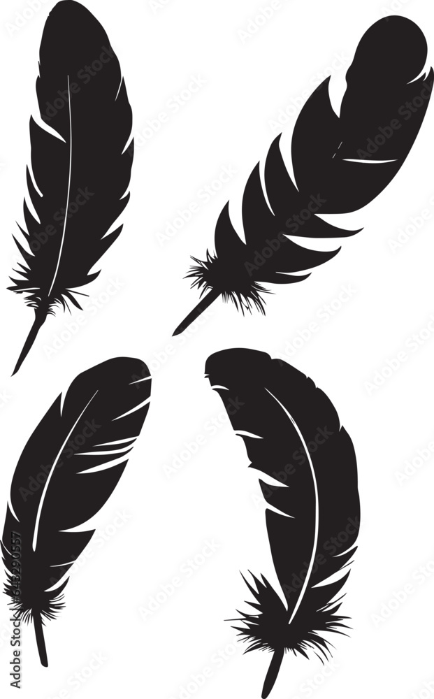Obraz premium feather vector black color illustration