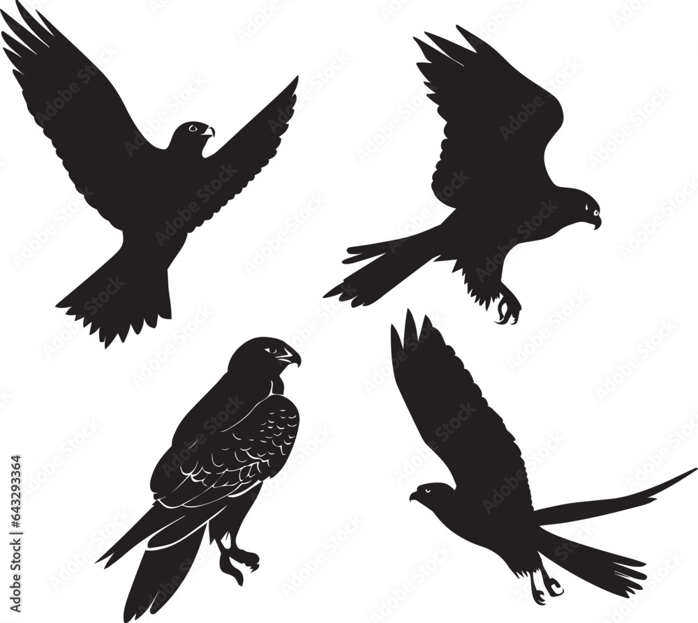 Obraz premium Flying Bird vector silhouette illustration black color