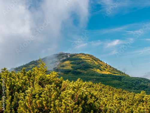 Fototapeta Naklejka Na Ścianę i Meble -  A view to Babia Mountain Peak, Beskid Zywiecki Mountains, Poland