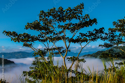 Morning with mist overlooking the mountains of Jayuya Puerto Rico photo