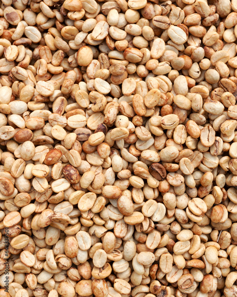 Robusta coffee beans,washed and dried,at a plantation in the Lao countryside,in hills surrounding Pakse,Laos.