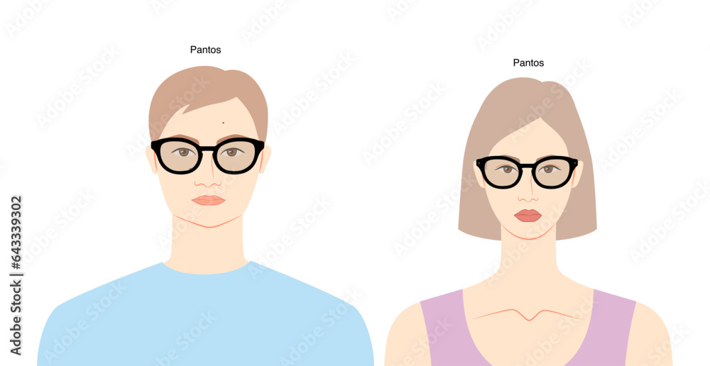 Pantos frame glasses on women and men flat character fashion accessory illustration. Sunglass front view unisex silhouette style, rim spectacles eyeglasses, lens sketch style outline isolated on white Pantos frame glasses on women and men flat character fashion accessory illustration. Sunglass front view unisex silhouette style, rim spectacles eyeglasses, lens sketch style outline isolated on white