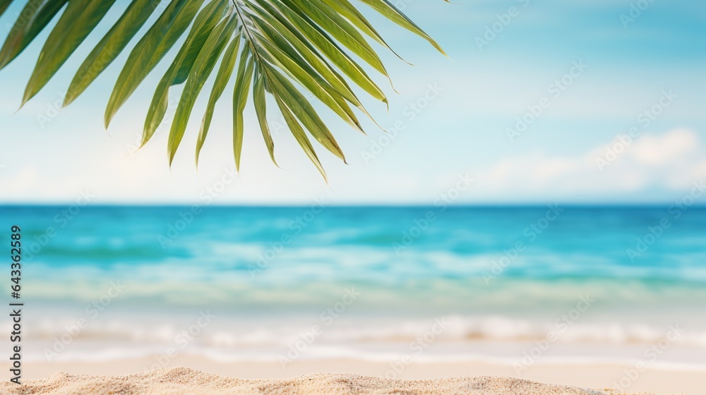 palm tree on the beach background palm tree on the beach background