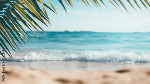 palm tree on the beach background