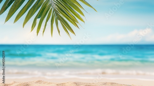 palm tree on the beach background