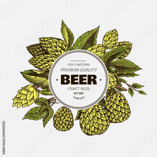 Hop cones and Barley sticker, emblem or badge or logo. Malt Beer for poster or banner. Engraved vintage. Hand drawn Sketch for web or pub menu. Design elements isolated on white background.