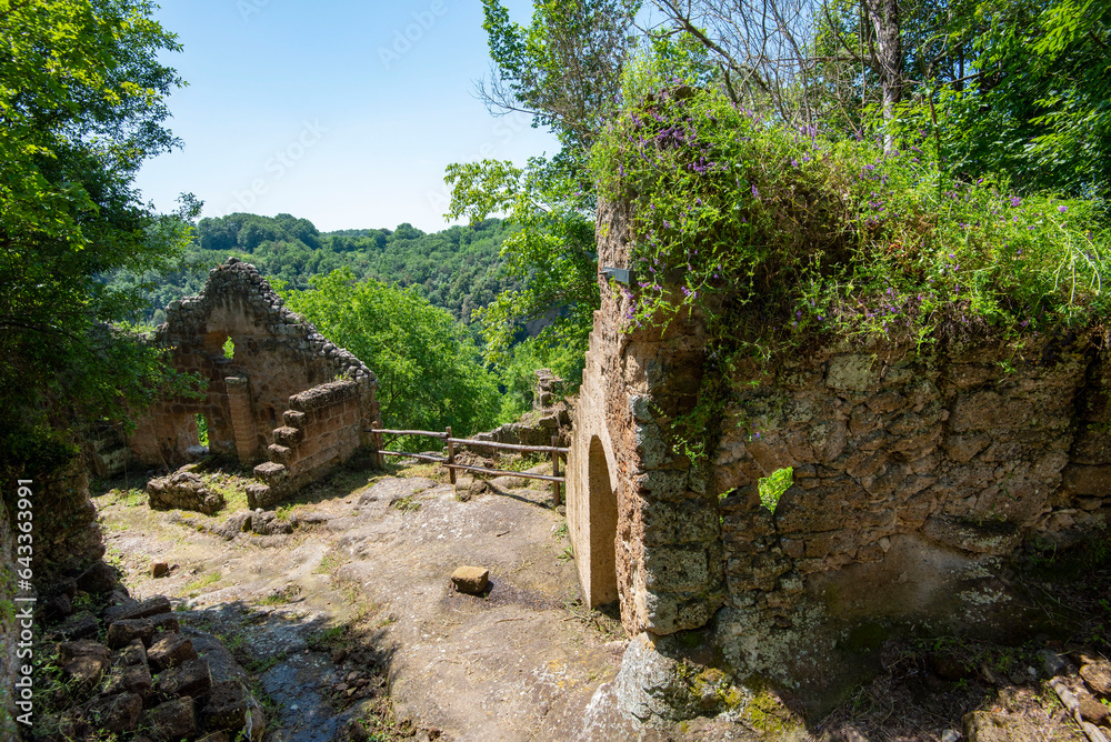 Ruins of Antica Monterano - Italy
