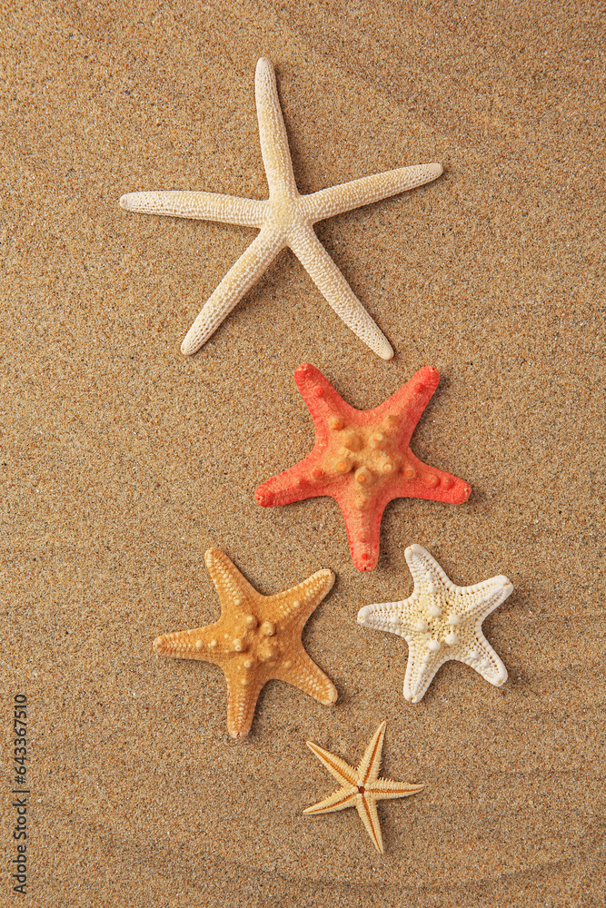 Many beautiful sea stars on sand, flat lay Many beautiful sea stars on sand, flat lay