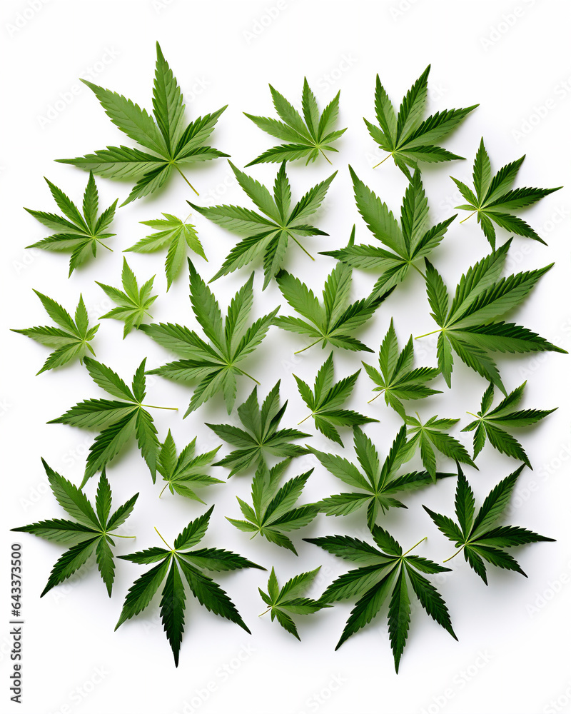 weed leaves art pattern isolated white, hyper realistic.