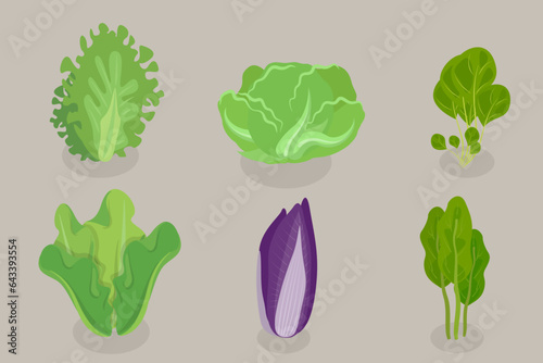 3D Isometric Flat Vector Set of Salad Greens