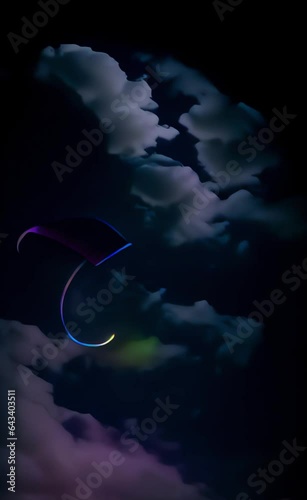 witch flying in the night