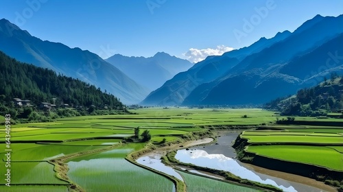 Tranquil rice terraces against the backdrop of distant mountains   © Halim Karya Art