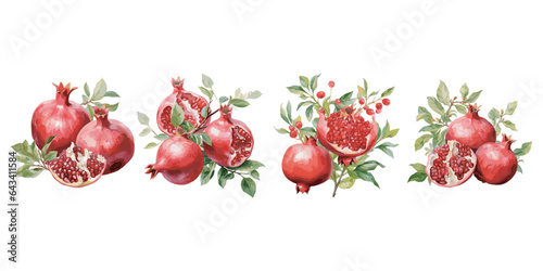 watercolor pomegranate clipart for graphic resources