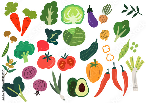 vegetables-illustration / 野菜イラスト