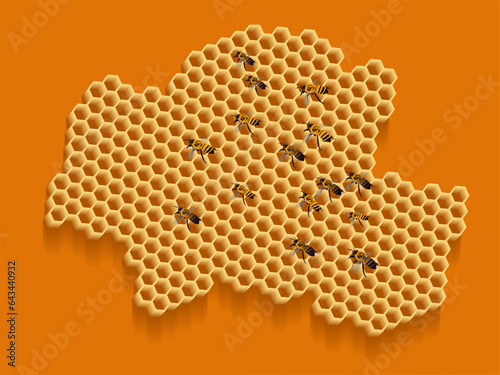 Honeycomb vector illustration with honey, bees, etc
