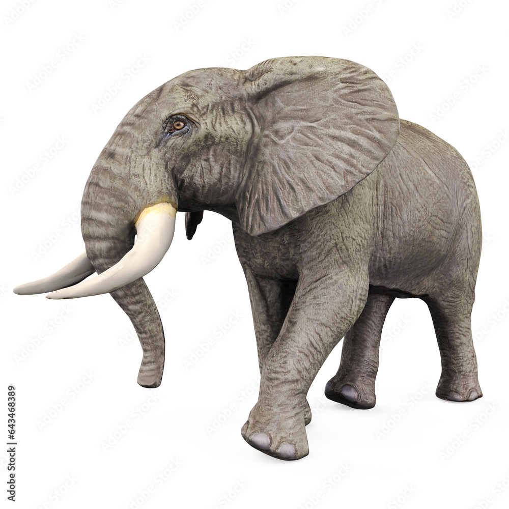 Fototapeta premium Elephant Isolated
