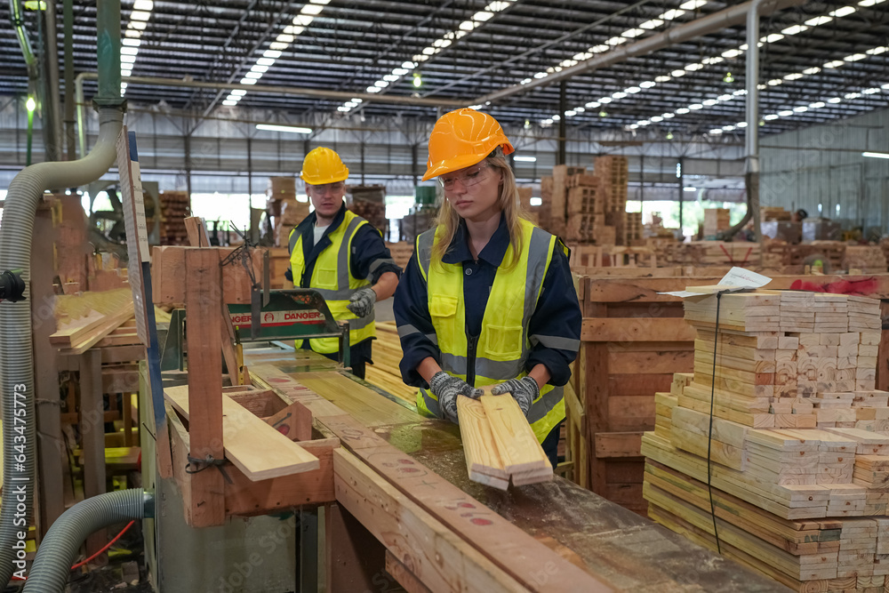 Warehouse worker working at lumber yard in Large Warehouse. Worker are Inventory check at Storage shelves in lumberyard. Warehouse worker working at lumber yard in Large Warehouse. Worker are Inventory check at Storage shelves in lumberyard.