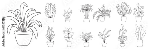 Collection of houseplants. Plants in pot outline. Houseplant in doodle style isolated on white background. Vector illustration.