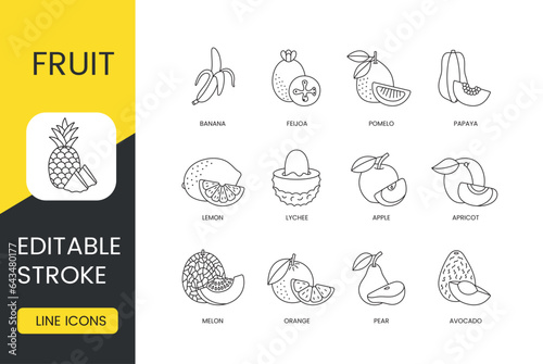 Fruits set line icons in vector  editable stroke. Avocado and pear  orange and melon  apricot and apple  lychee and lemon  papaya and pomelo  feijoa and banana