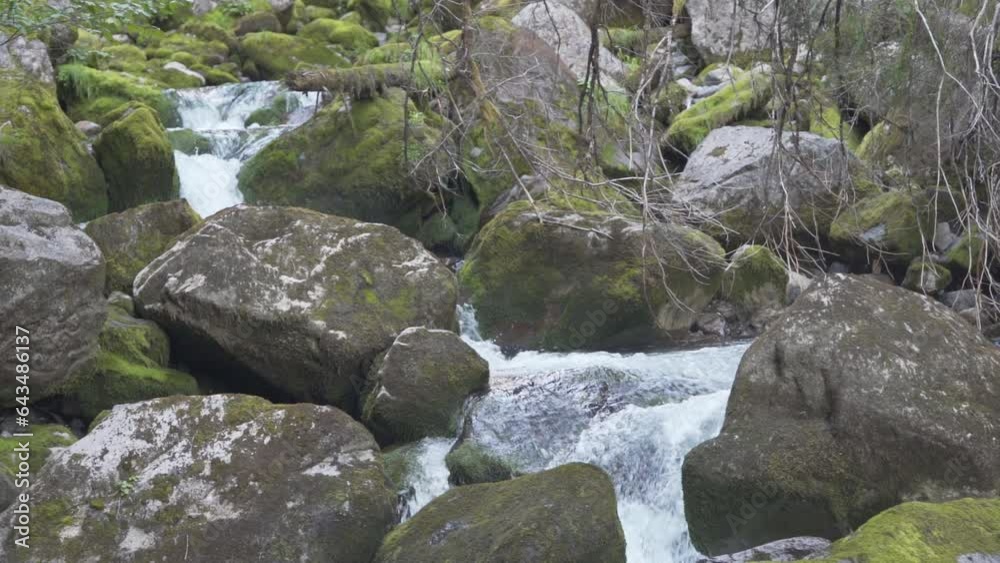 Pristine Torrent Of River Flowing In The Mossy Boulders. - slowmo Pristine Torrent Of River Flowing In The Mossy Boulders. - slowmo