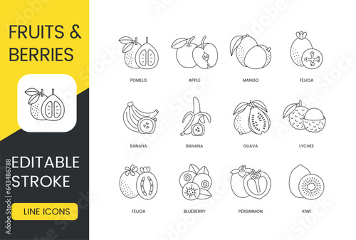 Fruits and berries whole and sliced, vector line icon set, editable stroke. Kiwi and persimmon, blueberry and feijoa, lychee and guava, banana and mango, apple and pomelo