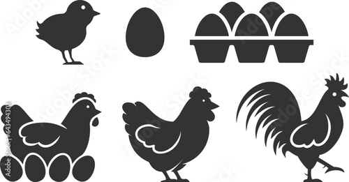 Poultry chicken livestock silhouette icon