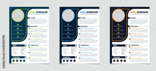 Professional cv or resume template design or cover letter with a modern minimal and unique concept	