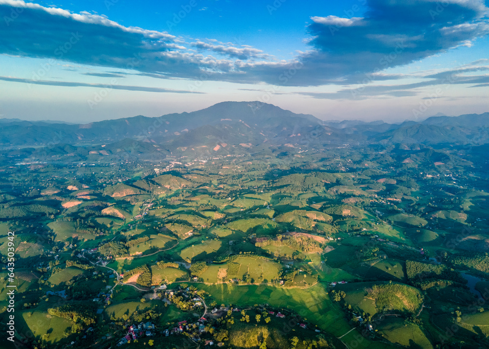 Aerial view of tea plantations on hills in Phu Tho province, Vietnam