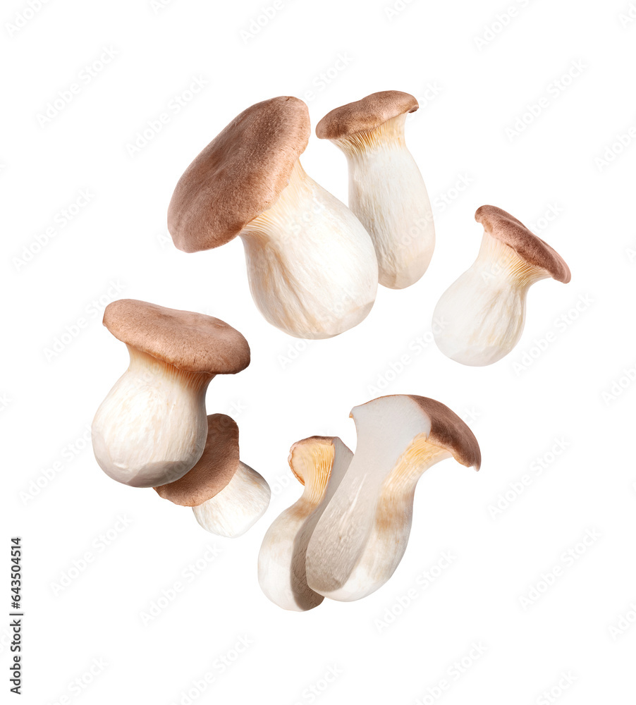 Fototapeta premium Royal oyster mushrooms (Pleurotus eryngii) in the air isolated on a white background