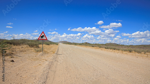 Schild Elefanten kreuzen