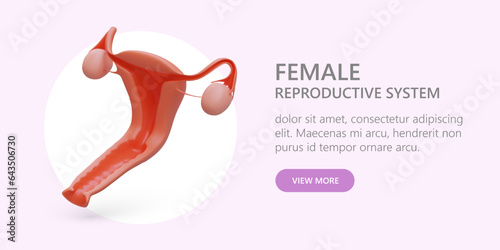 Female reproductive system. Services of gynecologist. Pregnancy planning, IVF. Commercial banner for reproductive medicine clinic. Web template with button