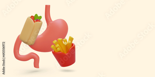 3D stomach and street food. Shawarma and French fries. Junk food. Unhealthy eating. Overeating fast food. Vector concept in cartoon style. Place for text