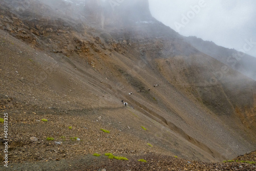 Precipitous trail to the Gotunta La Pass, Zanskar, Ladakh, India