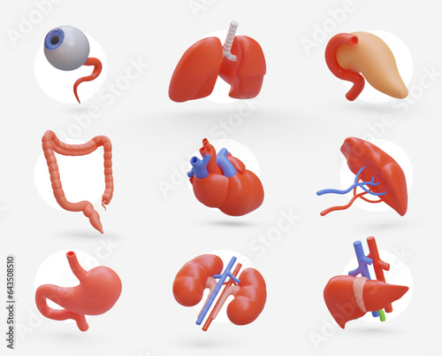 Large collection of realistic human organs. Icons for medical application, website. Isolated vector image. Eye and lungs, pancreas and large intestine, heart and spleen, stomach, and kidneys, liver