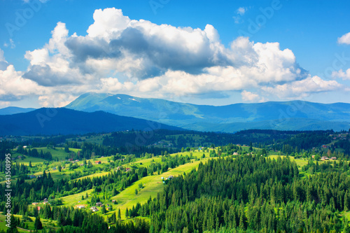 Summer sunny landscape of green hills and blue sky and mountains in the background. High quality photo